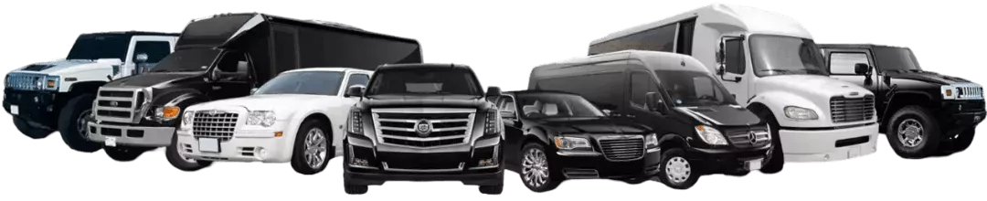 Premium Chauffeur Service
