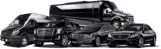 Limousine